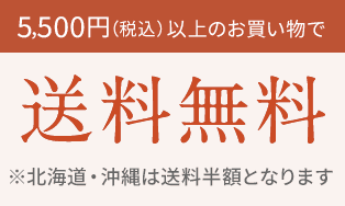5,500円以上で送料無料