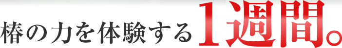 椿の力を体験する2週間。