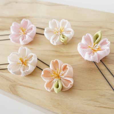 桜づくしコーム 小田巻付き | かづら清老舗オンラインショップ
